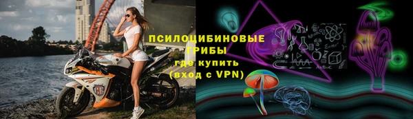 стаф Карпинск