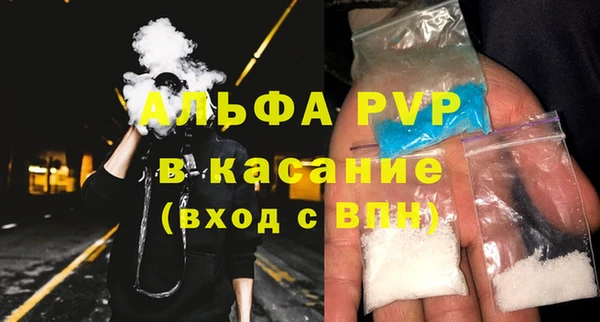 стаф Карпинск