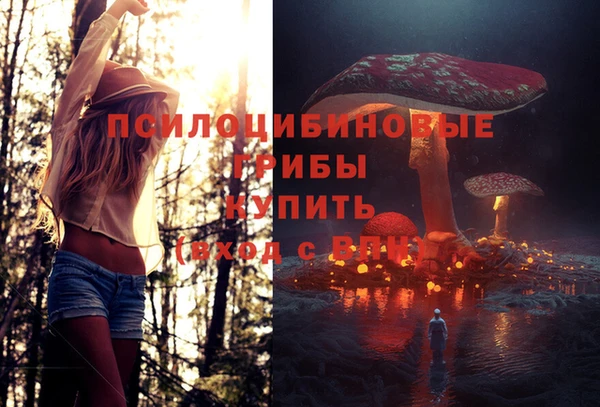 амфетамин Карталы