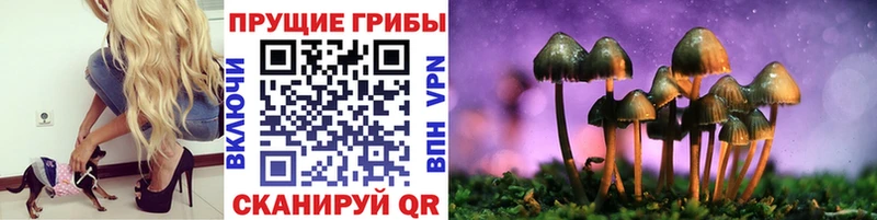 Псилоцибиновые грибы ЛСД  Купить  Юхнов 